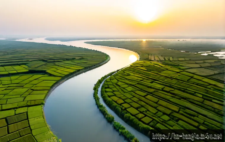Home 17 방글라데시의 주요 강 - Photorealistic aerial panorama of the mighty Padma River in Bangladesh at sunrise, broad braided cha...